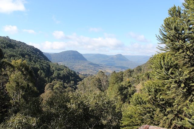 a natureza que cerca o parque