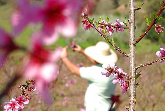 Tour vinho em Bento e Garibaldi