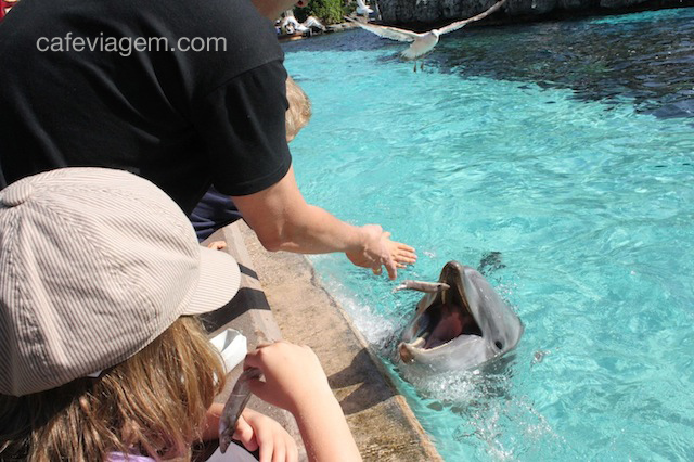 Sea World