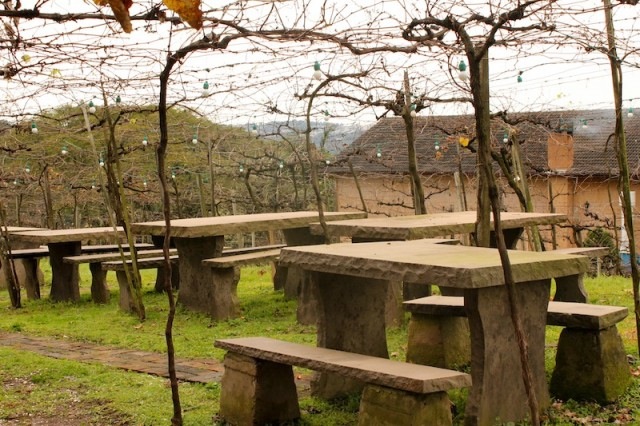 Vinicola-Valduga16-640x426