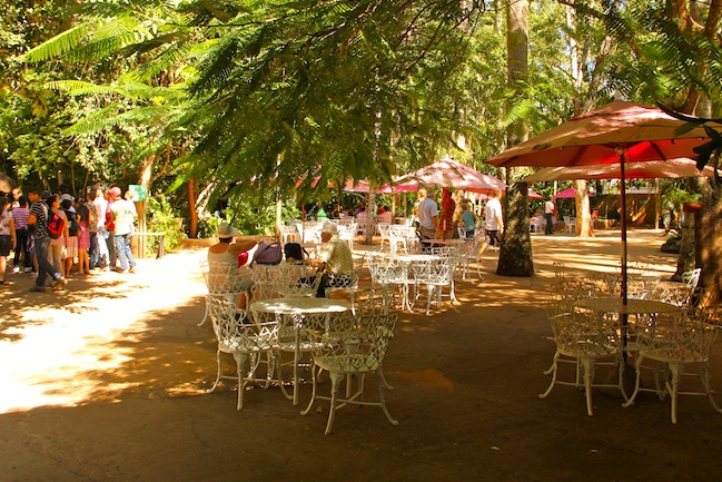 as mesas do restaurante e lancheria do Parque das Aves