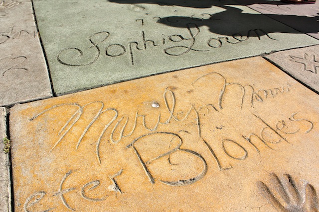 Hollywood Hall of Fame14