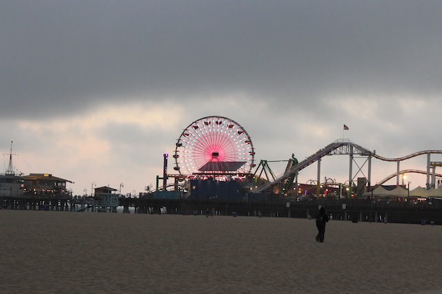 Santa Monica Venice Beach15