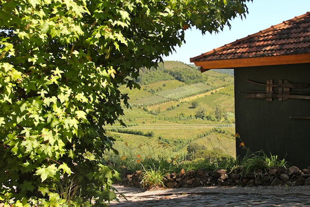 cada cantinho tem o seu charme e paisagem