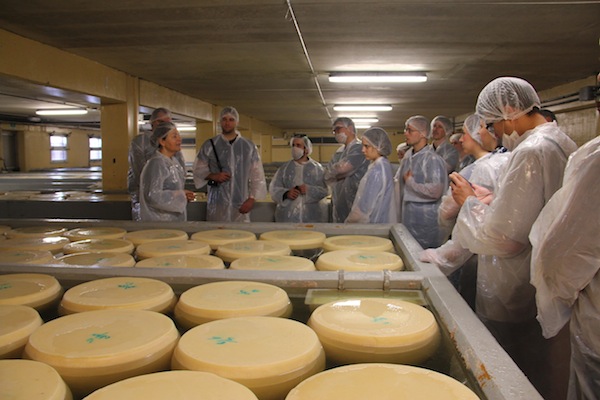 uma das últimas etapas antes do queijo envelhecer nas prateleiras