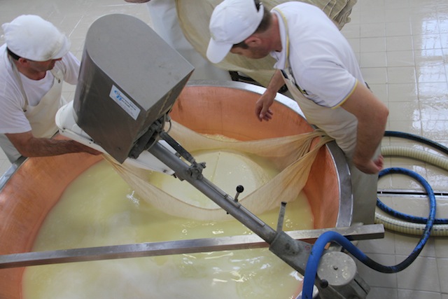 Parmigiano Reggiano (7)