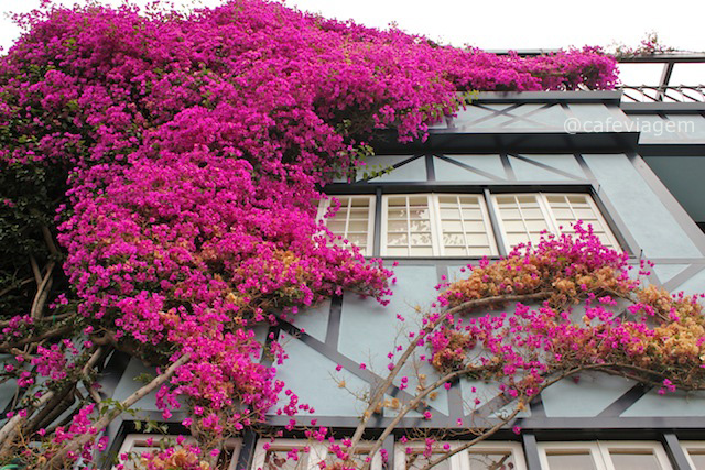 Lombar Street e suas casas com lindos jardins