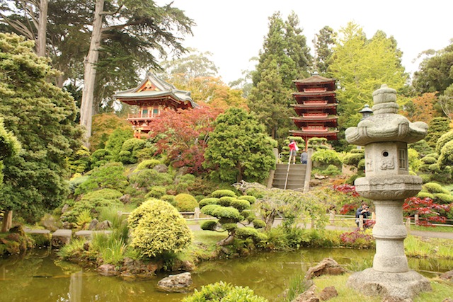 jardim japonês