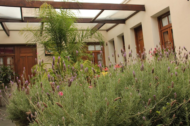 jardim interno do hotel
