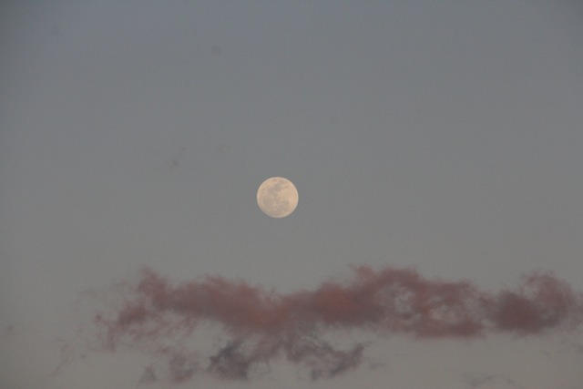 o visual incrível da lua cheia na janela ao lado da nossa mesa!