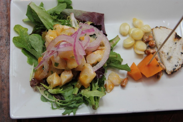 a primeira degustação: o ceviche