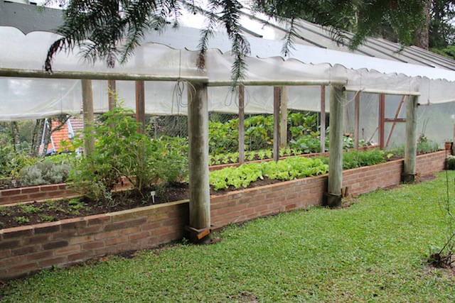 hortinha ao lado da pracinha