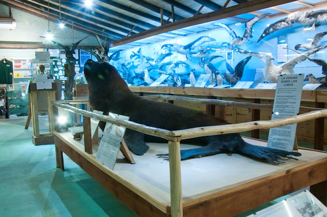 Foto arquivo Museu do Mar