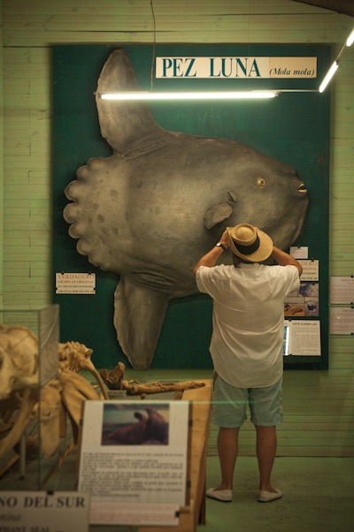 Foto arquivo Museu do Mar