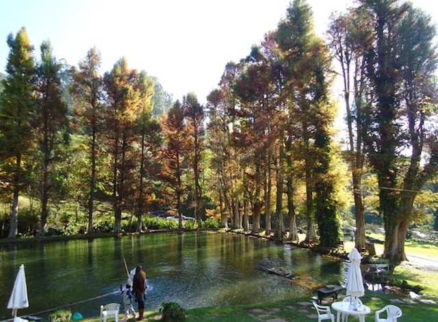 Foto Divulgação Site Prefeitura de Santo Antônio do Pinhal