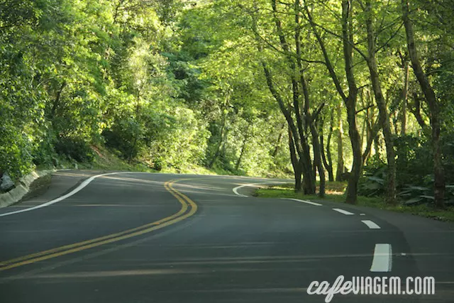 Assim é como a estrada fica na primavera!