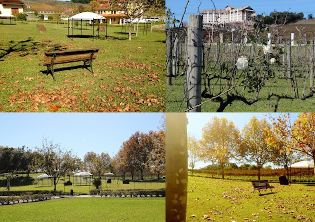 Dica: aproveite para curtir o jardim da vinícola Miolo