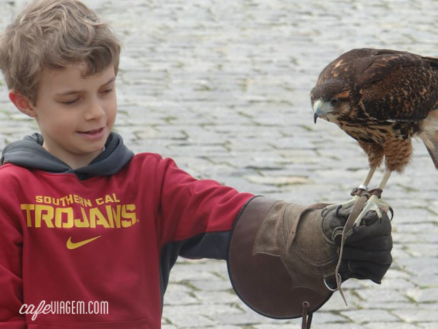 Atividade especial do dia: a falcoaria da Artfalcon (filhote amou)