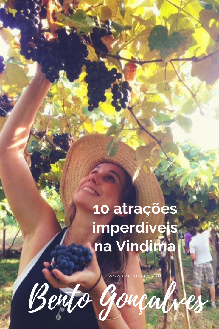 colheita da uva em Bento Gonçalves
