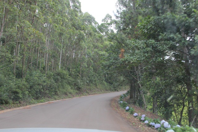 No início da estrada parece que vai ser tranquilo