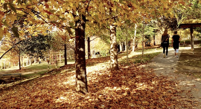 10 Lugares Onde O Outono No Rio Grande Do Sul E Um Espetaculo