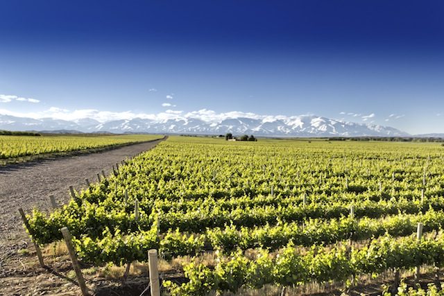 Está nos planos do blog uma viagem à Mendoza