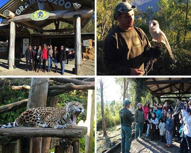 Última atração já no caminho para POA: Zoo!