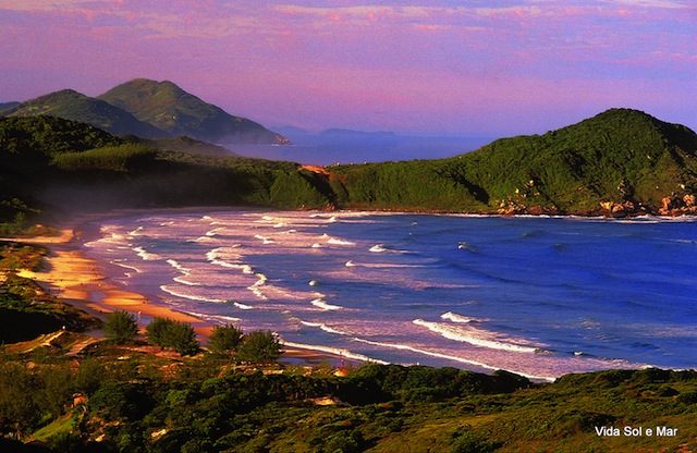 Praia do Rosa (foto divulgação)