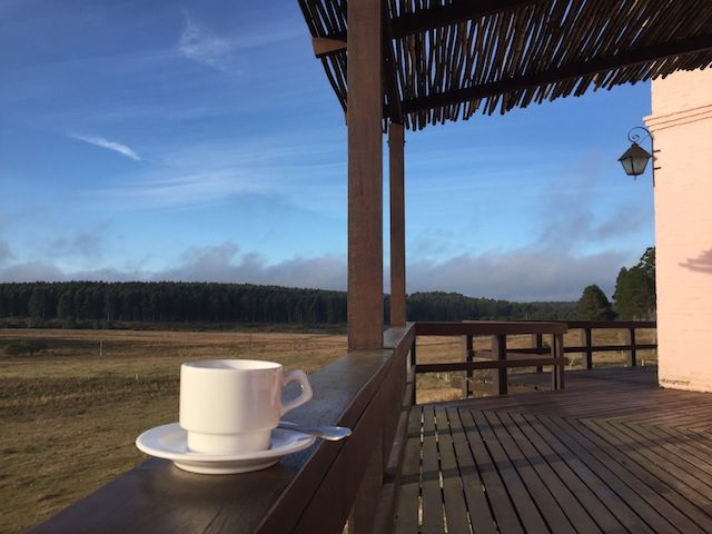Do vinho ao café da manhã com essa vista, que experiência!!
