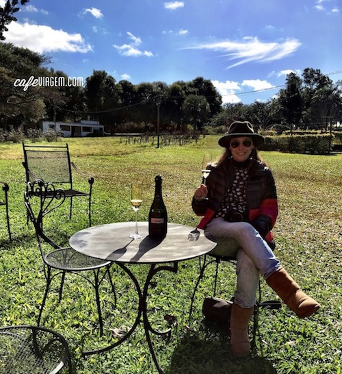 Tim-Tim para essa vinícola, para o dia lindo e para a excelente companhia.