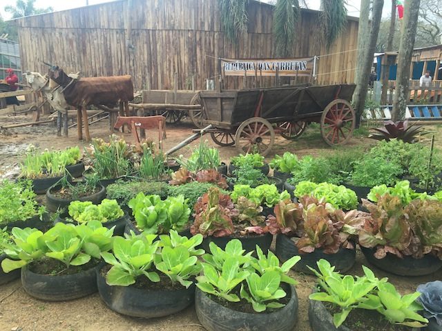 Horta do Piquete da Fazendinha