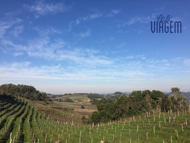 visual na saída da estrada da vinícola rumo a Monte Belo do Sul