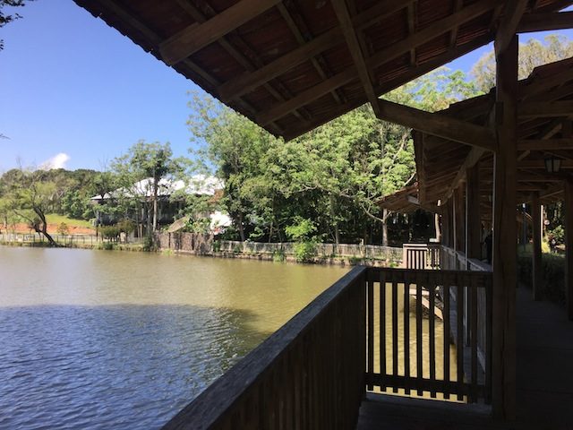 a área arborizada com lago ao redor do restaurante Fenachamp