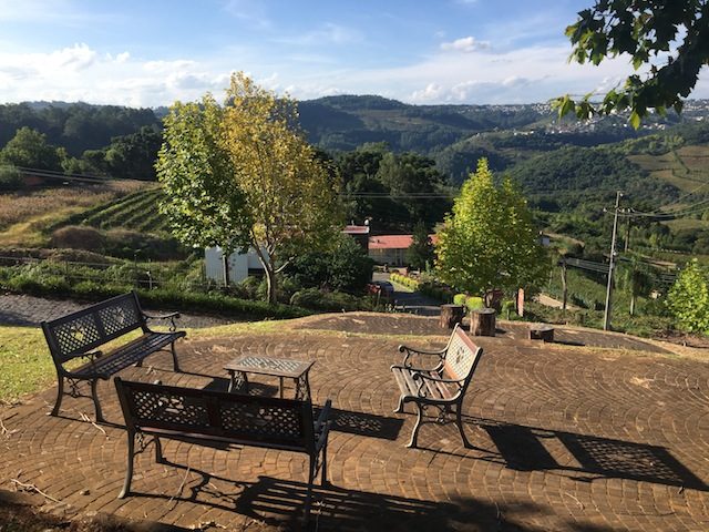 Circuito dos Vinhos - o tour no Vale dos Vinhedos a partir de Gramado