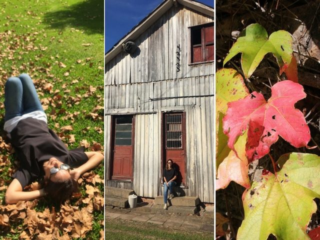 Circuito dos Vinhos - o tour no Vale dos Vinhedos a partir de Gramado