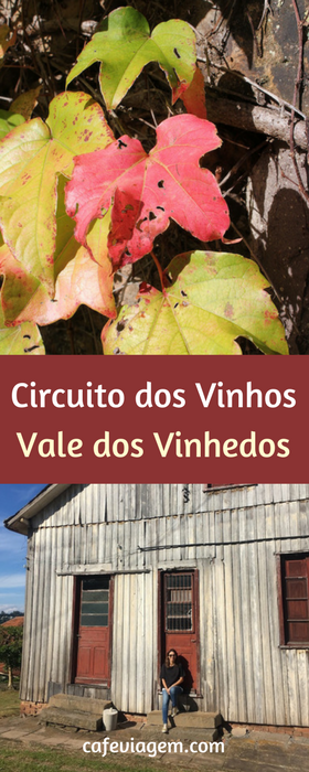 Circuito dos Vinhos - o tour no Vale dos Vinhedos a partir de Gramado