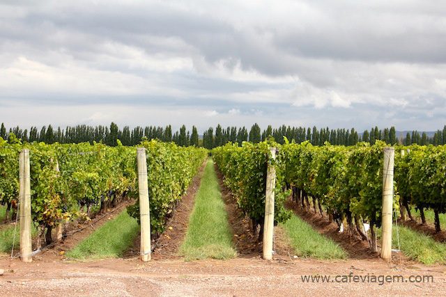 visita Catena Zapata
