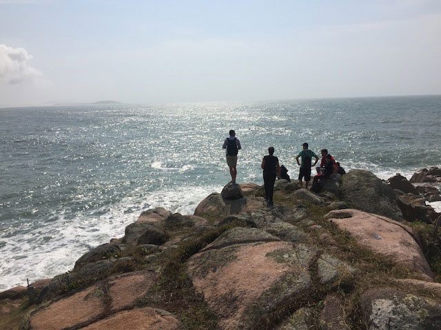 Rota da Baleia Franca