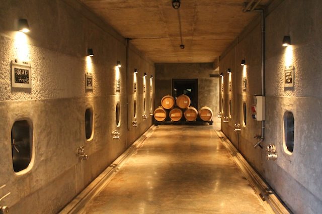 vinhos Pulenta Mendoza
