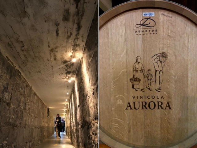 Vinícola Aurora