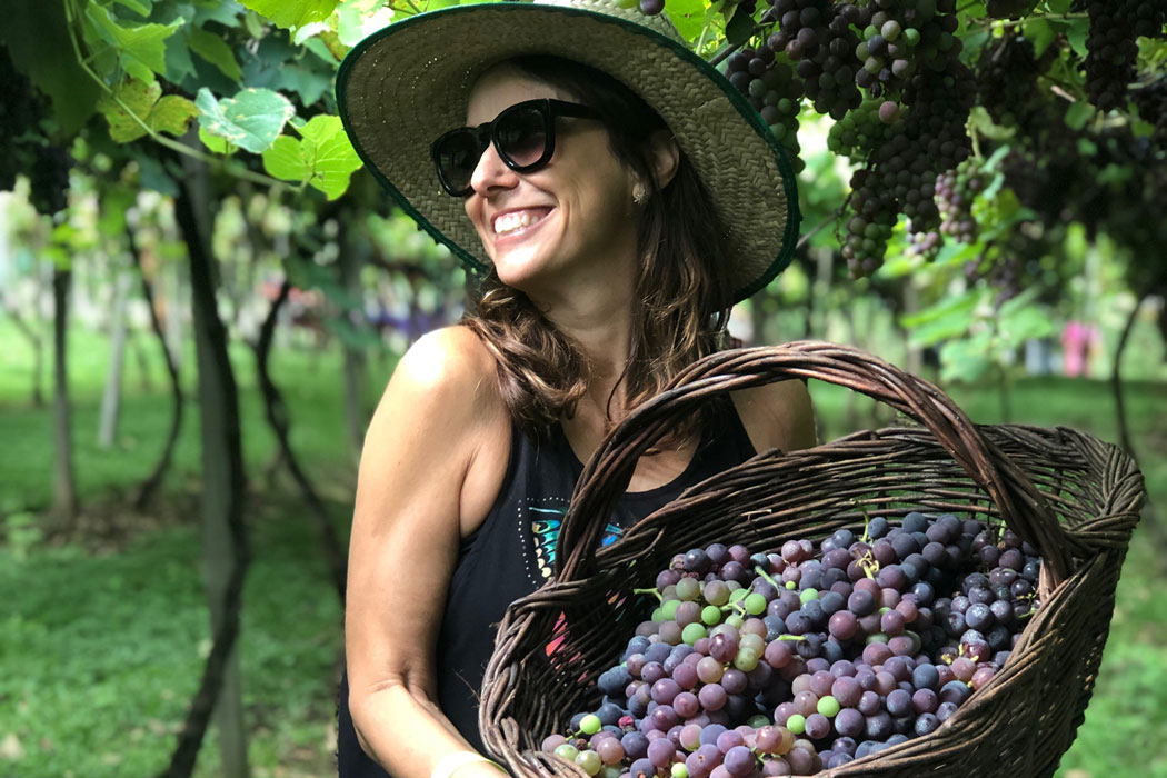 Viagem Wine serra gaúcha