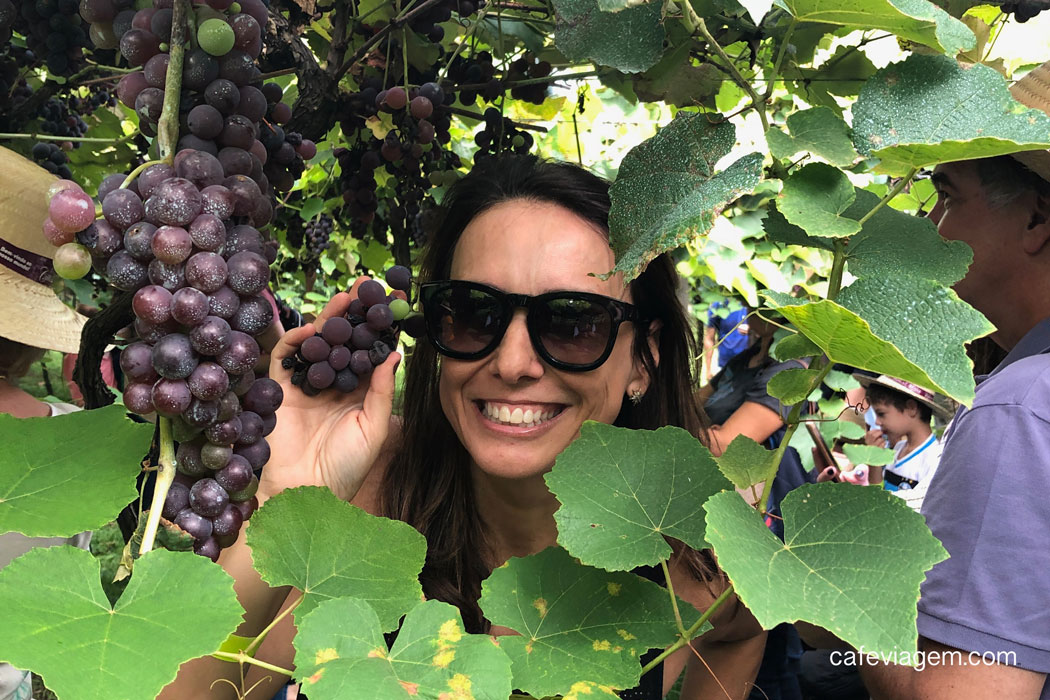 Viagem Wine serra gaúcha