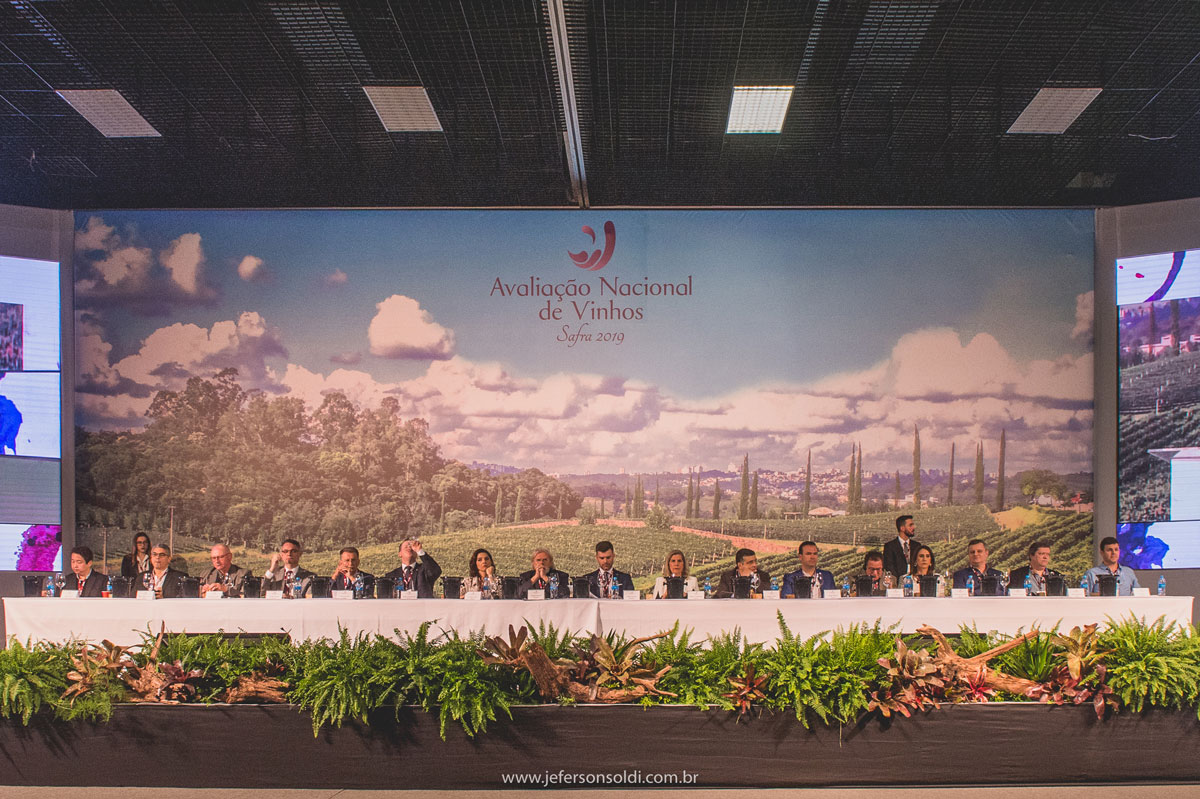 comentaristas Avaliação Nacional de Vinhos safra 2019