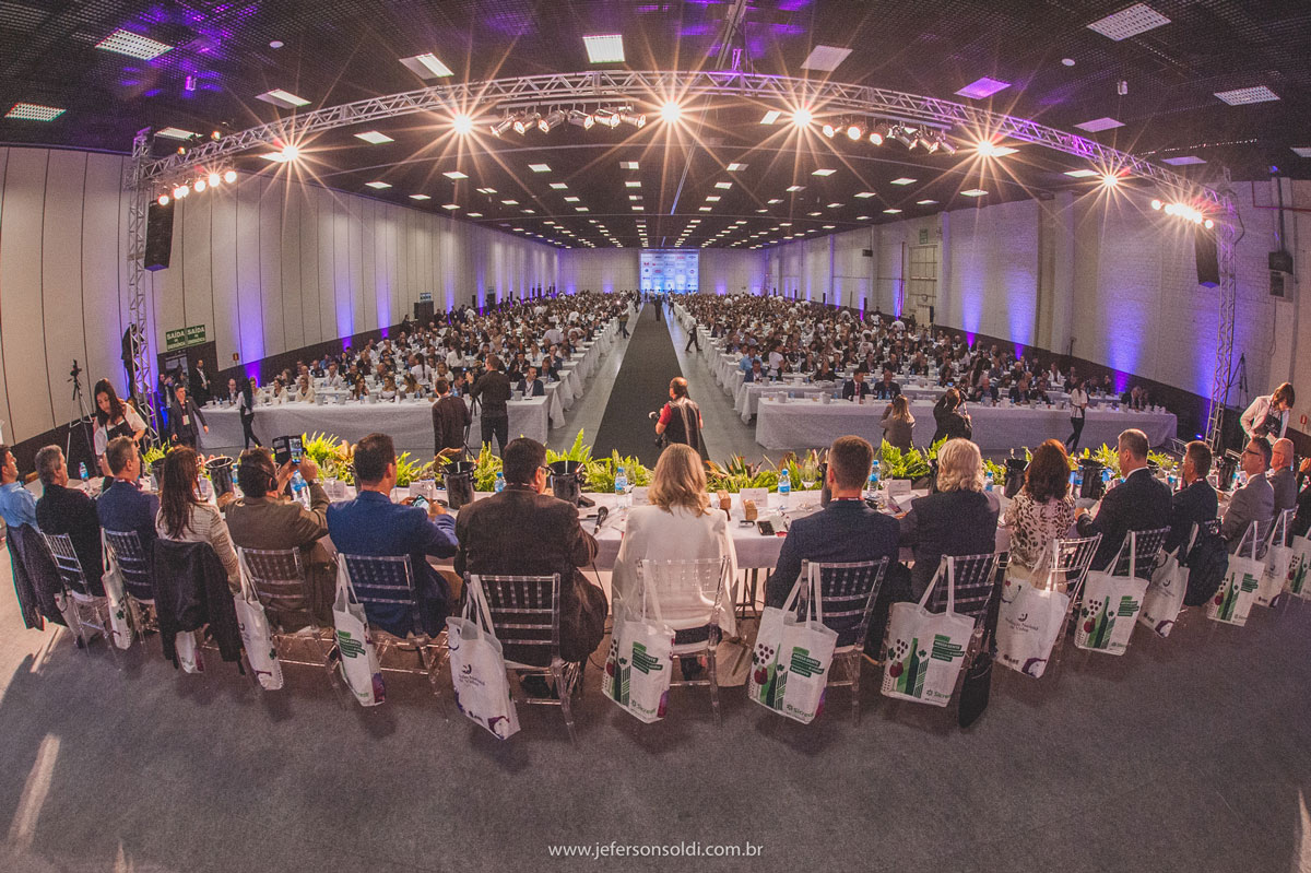 vinhos brasileiros Safra 2019