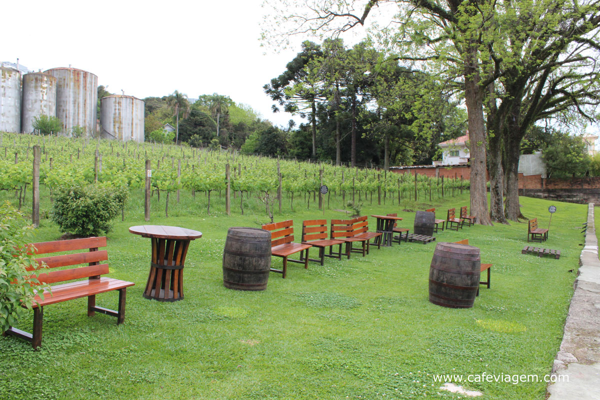Wine Movie Peterlongo