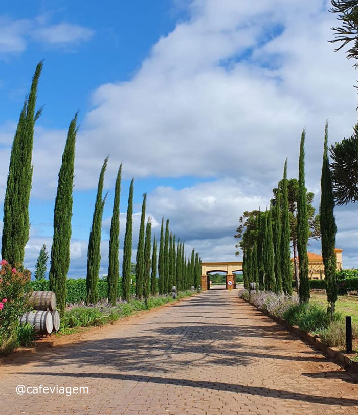 Vinícola Campestre