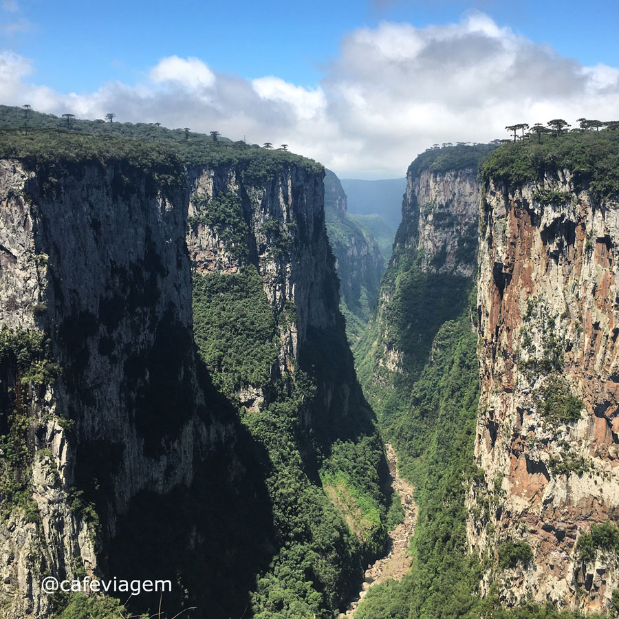 Campos de Cima da Serra