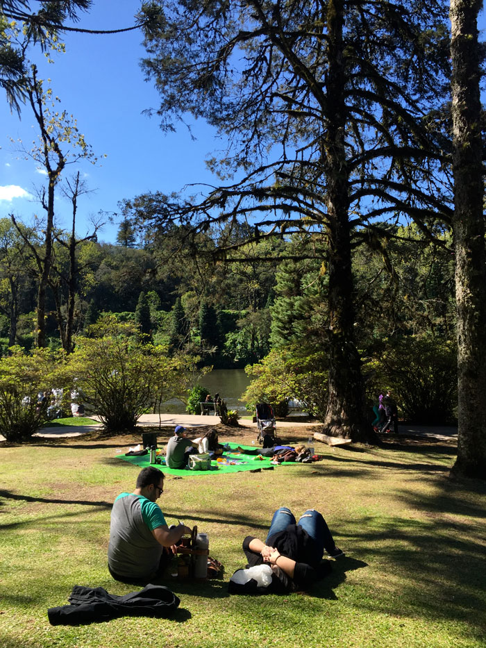 Gramado bandeira vermelha