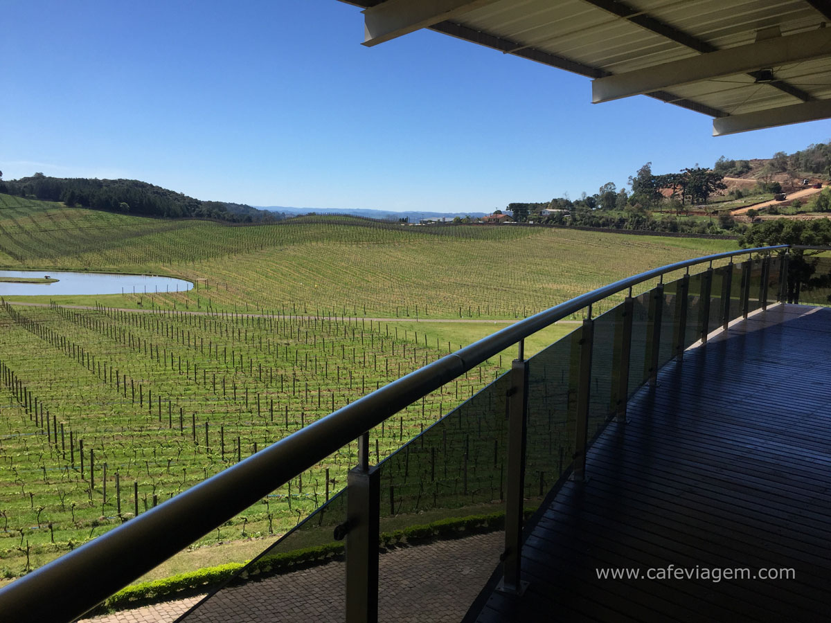 Região Uva e vinho serra gaúcha